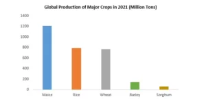 Global Production on Major Crops in 2021