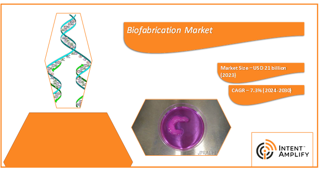 Biofabrication Market